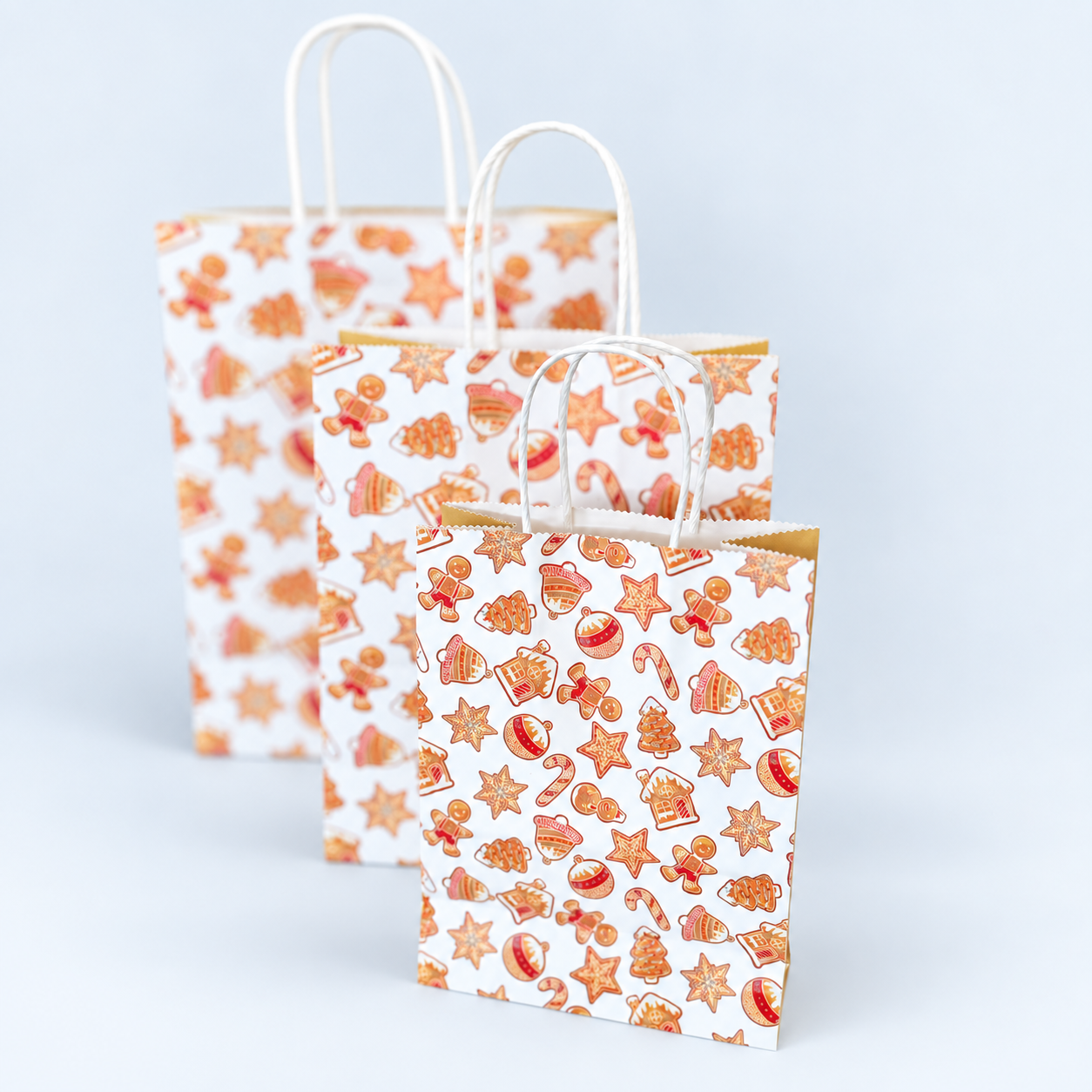 Seasonal printed paper bag set